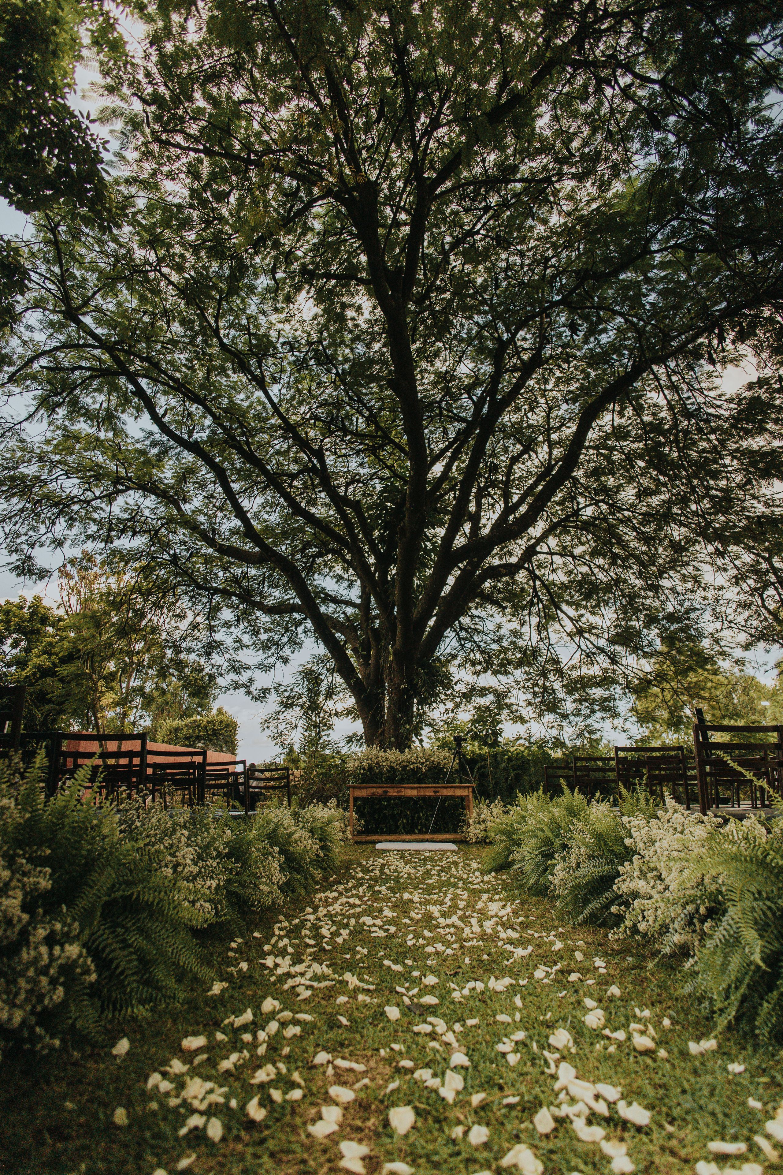 Outdoor Wedding Guide - Nakshatra Wedding